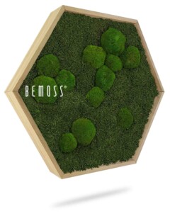 Een zeshoekig houten frame gevuld met groen geconserveerd mos van verschillende groottes is gemonteerd tegen een witte achtergrond. Het woord "Moshexagon BEMOSS® MIMI" is in witte tekst op het mos gedrukt, waardoor het een onderscheidende moswand is. Het frame werpt een lichte schaduw eronder.