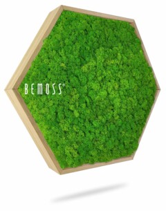 Een zeshoekig kunstwerk aan de muur met weelderig, heldergroen geconserveerd mos is ingelijst in licht hout. Het woord "BEMOSS" is in het wit op het mosoppervlak gebrand, waardoor een prachtige moswand ontstaat die een vleugje natuur aan elke ruimte toevoegt.