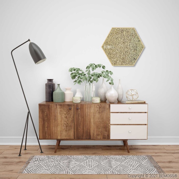 Een stijlvol houten dressoir uit het midden van de eeuw met drie witte lades, versierd met vazen, planten en decoratieve items. Links staat een zwarte vloerlamp. Boven hangt de zeshoekige BEMOSS-mosschilderij, op de houten vloer eronder ligt een vloerkleed met een patroon.