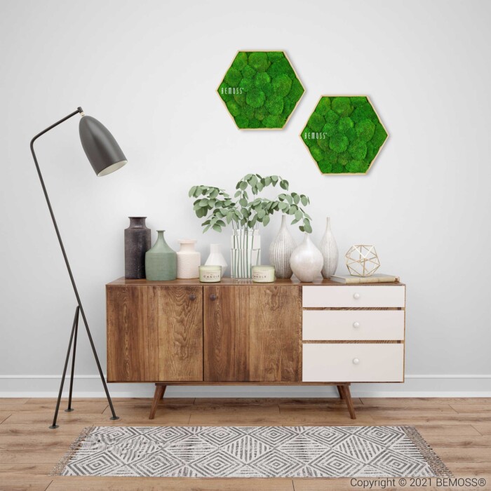 Een moderne woonkamer is voorzien van een houten dressoir met laden. Hierboven hangen twee BEMOSS mosschilderij groene plantenframes aan een witte muur. Op het dressoir staan diverse vazen en planten tentoongesteld. Naast de kast staat een zwarte vloerlamp met een witte kap op een tapijt met patroon.