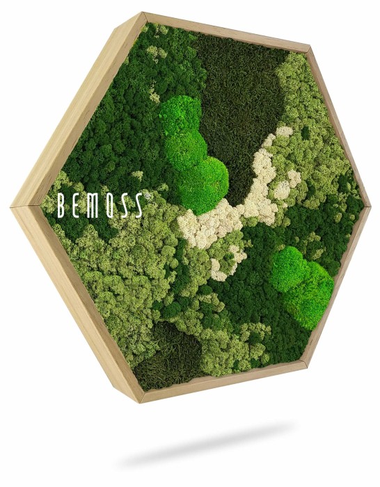 Zeshoekig houten frame met 'BEMOSS'-tekst op de zijkant, met bewaard groen mos in verschillende tinten en texturen, gerangschikt in abstracte patronen. Deze elegante moswand staat tegen een witte achtergrond en lijkt aan de muur te hangen.