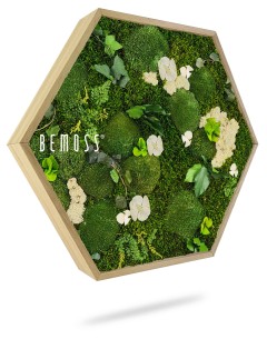 Een zeshoekig houten frame is gevuld met verschillende groene mos, bladeren en witte bloemen, waardoor een modern en milieuvriendelijk verticaal tuindisplay ontstaat. Het frame heeft het label "Moshexagon BEMOSS® ORTHO ICE", wat perfect de essentie van een Moshexagon BEMOSS® ORTHO ICE moswand belichaamt.