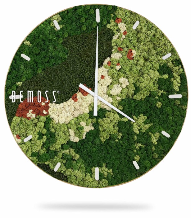 Een ronde wandklok van BEMOSS® met een op de natuur geïnspireerd ontwerp met weelderig groen en wit mos, geaccentueerd met kleine stukjes rood mos. De Mos klok BEMOSS® ORTHO SPRING met wijzerplaat lijkt op een mini-moswand met witte uren- en minutenwijzers en minimalistische witte uurmarkeringen.