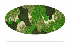 Ovaalvormige wanddecoratie met links de merknaam "BEMOSS" in witte tekst. De Mosschilderij Ellips BEMOSS® ORTHO TORRES heeft een gestructureerd, abstract ontwerp dat bestaat uit verschillende tinten groen en wit mos, gerangschikt in een patroon dat natuurlijke landschappen nabootst.