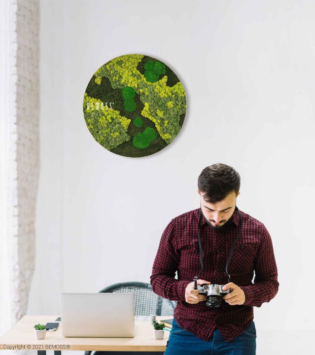 Een man gekleed in een rood en zwart geruit overhemd staat voor een witte muur en kijkt neer op een camera die hij vasthoudt. Achter hem staat een ronde Mosschilderij cirkel BEMOSS® ORTHO LIME met de tekst 