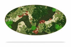 Ovaalvormig kunstwerk met een dicht, veelkleurig moslandschap. Verschillende tinten groen, samen met stukjes wit en rood mos, creëren een gestructureerd, natuurlijk landschap. Het woord "Mosschilderij Ellips BEMOSS® ORTHO TORRES" wordt aan de linkerkant van de moswand weergegeven voor extra nadruk.