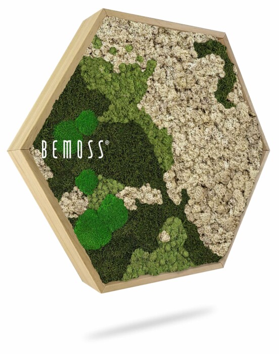 Een zeshoekig houten frame gevuld met een mix van groen en wit geconserveerd mos wordt weergegeven tegen een witte achtergrond. De BEMOSS® moschilderij beschikt over clusters van verschillende mostexturen, met de merknaam op de linkerkant gedrukt. Het frame werpt een schaduw eronder.