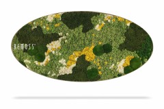 Een ovaalvormig wanddecor met het opschrift "Mosschilderij Ellips BEMOSS® ORTHO TORRES", deze levendige moschilderij heeft een abstract arrangement van geconserveerd mos in verschillende tinten groen, met accenten van wit en geel. Het platte stuk werpt een lichte schaduw aan de onderkant van de afbeelding.