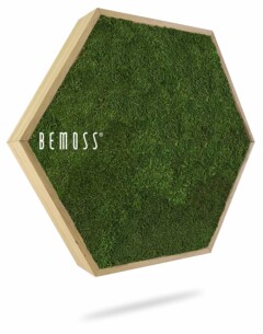 Een zeshoekig houten frame gevuld met groen mos. Het woord "BEMOSS" staat in witte tekst op de linkerkant van het frame. De Moshexagon PLANTEN Mesia Mango wordt weergegeven tegen een witte achtergrond met daaronder een zachte schaduw.