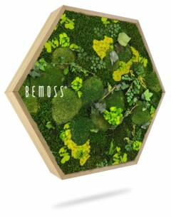 Zeshoekige Moshexagon PLANTEN Mesia Lime met weelderig, geconserveerd mos- en plantenarrangement aan de binnenkant, met verschillende texturen en tinten groen. Het frame is aan de linkerkant voorzien van het merk 'BEMOSS', heeft een houten rand en werpt een subtiele schaduw.