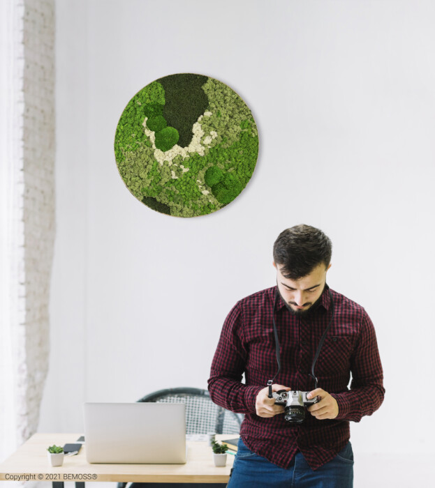 Een man met donker haar en een baard, gekleed in een rood geruit overhemd, staat in een modern kantoor zijn camera te controleren. Achter hem is een witte muur versierd met een Mosschilderijcirkel BEMOSS® ORTHO GROEN. Naast hem staat een houten bureau met een stoel en gordijnen bedekken het raam.