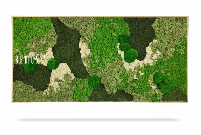 Een rechthoekig frame gevuld met verschillende tinten groen en wit geconserveerd mos, waardoor een abstract patroon ontstaat. Aan de linkerkant van de Mosschilderij BEMOSS® ORTHO GREEN staat het woord 