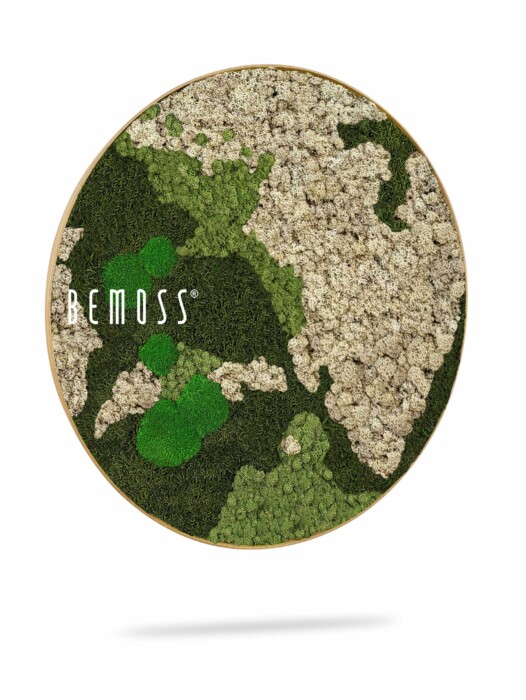 Een rond decoratief stuk met het opschrift 'REMOSS' heeft een opvallende mix van groene en beige mostexturen gerangschikt in een abstract patroon. Deze elegante Mosschilderij cirkel BEMOSS® ORTHO NATURAL lijkt op een witte achtergrond te hangen met daaronder een schaduw.