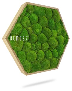 Een zeshoekig wanddecoratiestuk met een houten frame gevuld met levendige, ronde trossen groen mos. Op het oppervlak van deze Mosschilderij Ellips BEMOSS® ORTHO OLVERA is de tekst "BEMOSS" gedrukt. Het decor werpt een schaduw op een witte achtergrond.