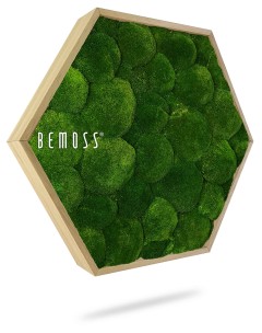 Een decoratief zeshoekig kunstwerk aan de muur met weelderige, levendige groene mosballen, gevat in een houten frame. Het woord "BEMOSS" is zichtbaar op het mosoppervlak binnen het frame. Deze Mosschilderij Ellips BEMOSS® ORTHO OLVERA roept een natuurlijk, organisch gevoel op, perfect voor binnendecoratie.