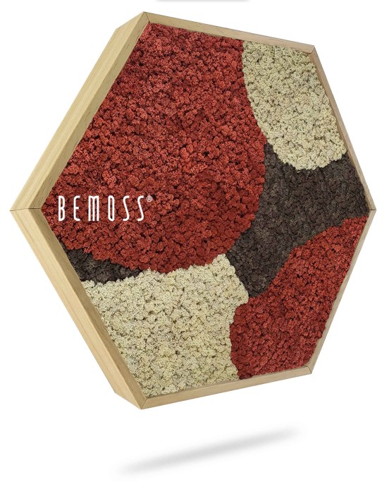 Een zeshoekig kunstwerk aan de muur met een lappendeken van geconserveerd mos in de kleuren rood, donkerbruin en beige. Deze Moshexagon BEMOSS® ORTHO SIENNA toont het mos gerangschikt in onregelmatige vormen en ingesloten in een houten frame met de merknaam 