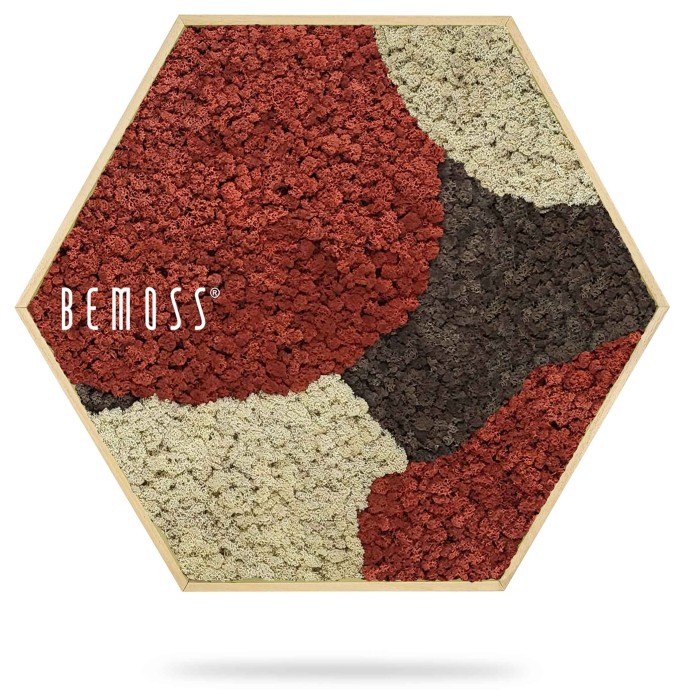 Een zeshoekig kunstwerk aan de muur met rood, zwart en beige geconserveerd mos in onregelmatige patronen, met het woord 'BEMOSS' in wit geschreven aan de linkerkant. De randen van de Moshexagon BEMOSS® ORTHO SIENNA zijn omlijst met lichtgekleurd hout. Het kunstwerk wordt weergegeven tegen een witte achtergrond.