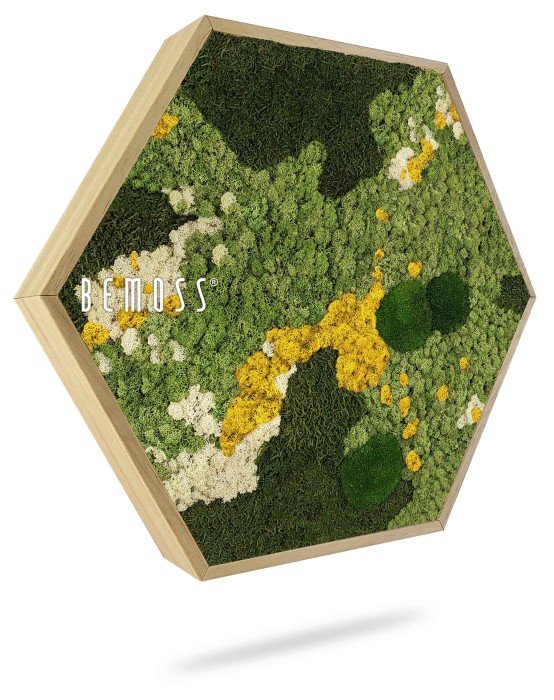 Een zeshoekig houten frame met een verscheidenheid aan bewaarde groene, gele en witte mossen, gerangschikt om een gestructureerd en kleurrijk natuurlijk kunstwerk te creëren. Het woord 