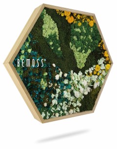 Een zeshoekig frame met een arrangement van bewaard gebleven mos en bloemen in de kleuren groen, geel, blauw en wit. Het frame is aan de linkerkant voorzien van het opschrift "BEMOSS". Deze Moshexagon PLANTEN Arce lijkt te zweven tegen een witte achtergrond, waardoor een opvallend kunstwerk ontstaat.