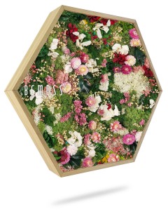 Een zeshoekig houten frame gevuld met een eclectisch arrangement van kleurrijke kunstbloemen en groen, met het opschrift 'BEMOSS'. Deze levendige *Mosschilderij PLANTEN Lomo* heeft tinten roze, wit, rood en groen, waardoor een tuinachtig tafereel ontstaat.