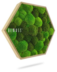 Een zeshoekig houten frame gevuld met levendig groen mos in verschillende tinten en texturen, waardoor een ingewikkeld, weelderig patroon ontstaat. De merknaam "BEMOSS" is zichtbaar aan de linkerkant met een klein geregistreerd handelsmerksymbool, waarmee een prachtig stuk Moshexagon PLANTEN Lomo wordt getoond voor elk interieur.