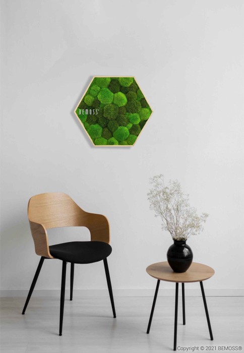 Een minimalistische kamer met een houten stoel met een zwarte zitting, een kleine ronde tafel met een zwarte vaas met gedroogde bloemen, en een zeshoekige Moshexagon PLANTEN Lomo met groene mosformaties en het woord 