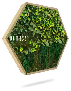 Een zeshoekig houten frame met daarin een verticale tuin met verschillende groene planten en mossen in verschillende tinten groen toont de Moshexagon PLANTEN Lomo, met het "BEMOSS"-logo elegant zichtbaar aan de linkerkant van het frame.