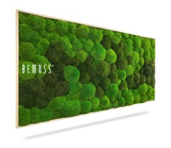 Een rechthoekige Moshexagon PLANTEN Lomo met weelderige groene mosklonten van verschillende groottes en tinten. Het woord "BEMOSS" staat in het wit op de linkerkant van het frame geschreven. Het lichtbruine frame heeft een modern en minimalistisch ontwerp, waardoor een prachtige Moshexagon PLANTEN Lomo ontstaat.