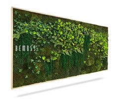 Een houten frame met levendig groen mos en planten vormt een prachtige Mosschilderij PLANTEN Lomo, met aan de linkerkant "BEMOSS" in witte letters. Deze prachtige moschilderij, afgezet tegen een witte achtergrond, creëert een opvallende verticale tuin.