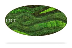 Een ovaalvormig wanddecoratiestuk met de merknaam "BEMOSS" afgebeeld, met een verscheidenheid aan groen mos gerangschikt in golvende, gestructureerde patronen. Deze Mosschilderij BEMOSS® ORTHO TOCÓN toont dicht opeengepakt mos en creëert een organische en natuurlijke esthetiek, tegen een witte achtergrond met daaronder een schaduw.