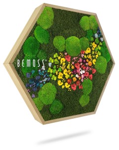 Een zeshoekig frame bevat een levendig arrangement van bewaard gebleven mos en kleurrijke bloemen. Op de linkerkant van deze prachtige Mosschilderij BEMOSS® ORTHO TOCÓN staat het woord "BEMOSS" gedrukt. De achtergrond binnen het frame bestaat uit groen mos, met een verscheidenheid aan bloemen elegant in het midden geplaatst.