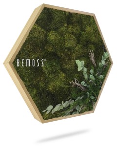 Er wordt een zeshoekig frame getoond, gevuld met geconserveerd groen mos en kleine planten, waarin een BEMOSS®-mosschilderij-ontwerp wordt getoond. Het arrangement bevat verschillende texturen en tinten groen, waardoor een natuurlijke uitstraling ontstaat. Het frame is geplaatst tegen een witte achtergrond.