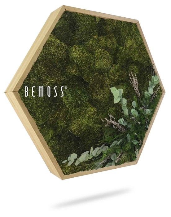 Er wordt een zeshoekig frame getoond, gevuld met geconserveerd groen mos en kleine planten, waarin een BEMOSS®-mosschilderij-ontwerp wordt getoond. Het arrangement bevat verschillende texturen en tinten groen, waardoor een natuurlijke uitstraling ontstaat. Het frame is geplaatst tegen een witte achtergrond.