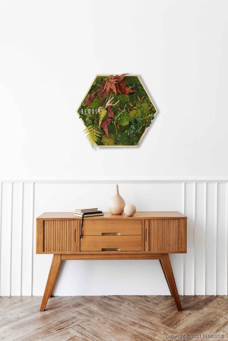 Zeshoekige kunst aan de muur met bewaarde groene en rode bladeren van BEMOSS hangt boven een moderne houten consoletafel uit het midden van de eeuw. Op de tafel staan twee minimalistische vazen en een boek tegen een muur met witte lambrisering, wat de elegante eenvoud van de BEMOSS moswand laat zien.