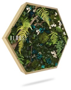 Een zeshoekig houten frame gevuld met een arrangement van geconserveerd mos, groene varens, witte bloemen en blauwe bloesems. Het frame is aan één zijde gemerkt met de tekst "BEMOSS®". De schaduw onder de BEMOSS mostschilderij geeft aan dat deze gemonteerd of opgehangen is.