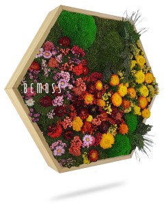 Zeshoekig houten frame gevuld met kleurrijke bewaarde bloemen en groen mos, waardoor een levendig bloemendisplay ontstaat. Aan de linkerkant van het frame is de tekst "BEMOSS" zichtbaar. Deze elegante en levendige mosterdij voegt een vleugje natuur toe aan uw interieur en versterkt elke ruimte met zijn unieke charme.