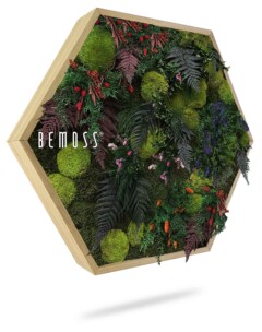 Een zeshoekig houten frame bevat een reeks bewaarde groene mos, varens en kleurrijke planten die een levendig, driedimensionaal botanisch geheel creëren. Op de linkerzijde van de moschilderij staat het woord "BEMOSS" gedrukt.