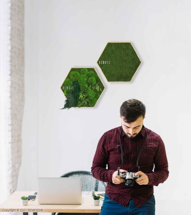 Een man met een baard en een geruit overhemd kijkt neer op een camera in zijn handen. Achter hem staan twee zeshoekige BEMOSS-frames gevuld met groen mos. Op de achtergrond is een bureau met opengeklapte laptop en stoel zichtbaar.