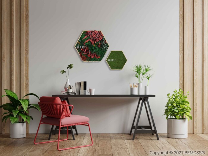 Een modern thuiskantoor met een zwart bureau, een rode stoel en diverse planten. Aan de muur boven het bureau zijn twee zeshoekige BEMOSS moschilderij wanddecoraties met groen en het woord 