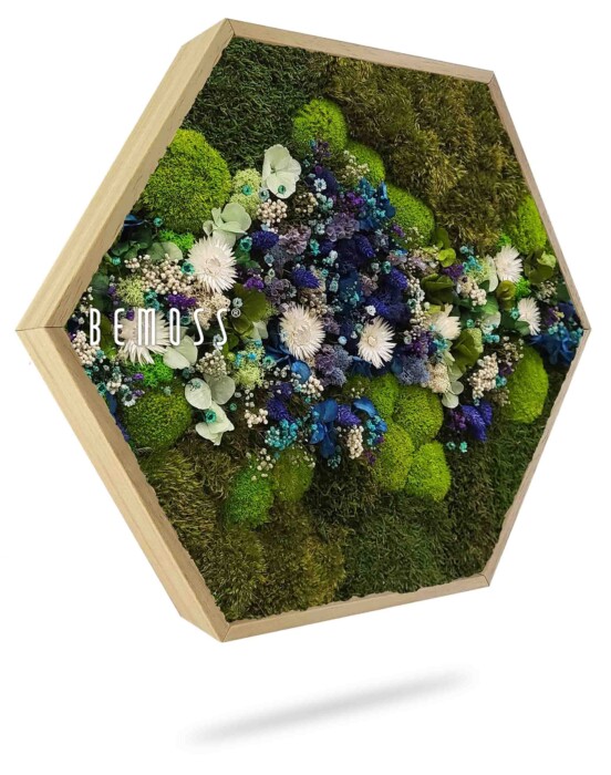 Een hexagonaal houten frame toont een levendige opstelling van groen mos, witte bloemen en blauwe bloemen. De opstelling heeft verschillende texturen en kleuren, wat een visueel aantrekkelijk patroon creëert. Het woord 