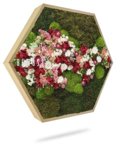 De Moshexagon PLANTEN Acebo (Kópia) is een hexagonaal bloemstuk met een houten frame, met groen mos, witte bloemen, rode bloemen en een verscheidenheid aan ander groen blad. De tekst "BEMOSS" is zichtbaar aan de linkerkant van het display.