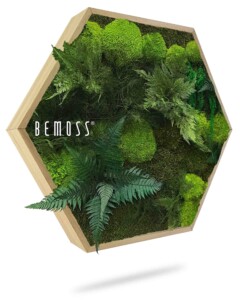 Zeshoekig houten frame met een verscheidenheid aan groene kunstmatige mossen en planten, die lijken op een verticale tuin. Het woord "BEMOSS®" is in het wit op de linkerkant van het frame gedrukt.